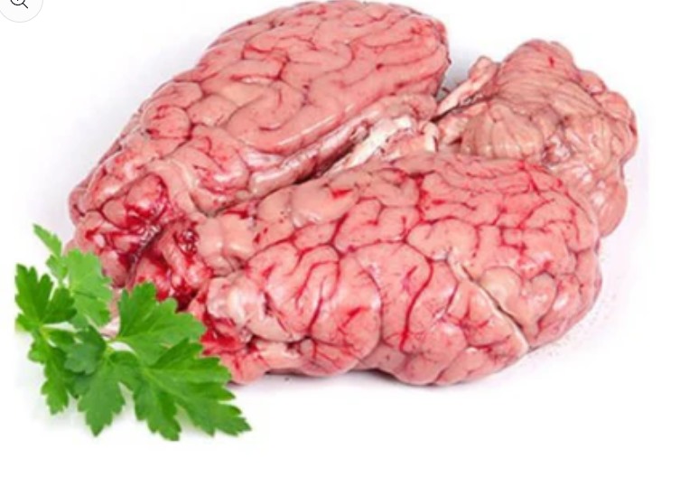 lamb brain